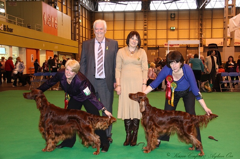 Crufts2011_2 202.jpg